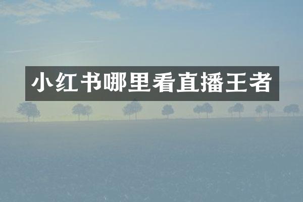 小红书哪里看直播王者