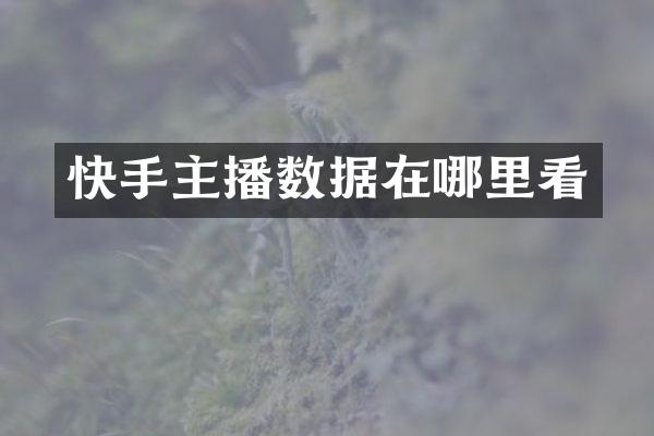 快手主播数据在哪里看