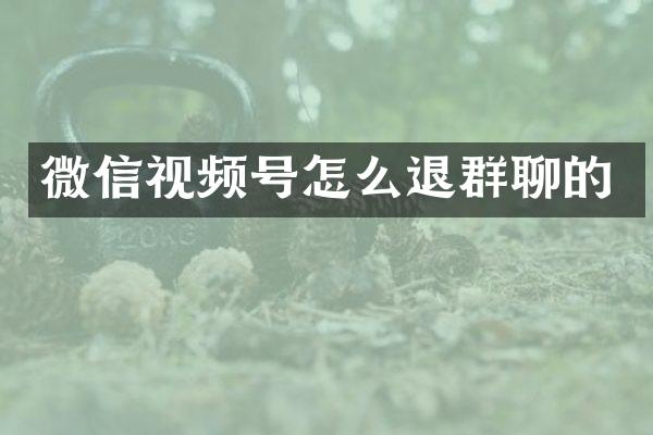 微信视频号怎么退群聊的