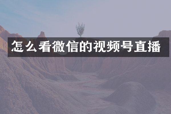 怎么看微信的视频号直播