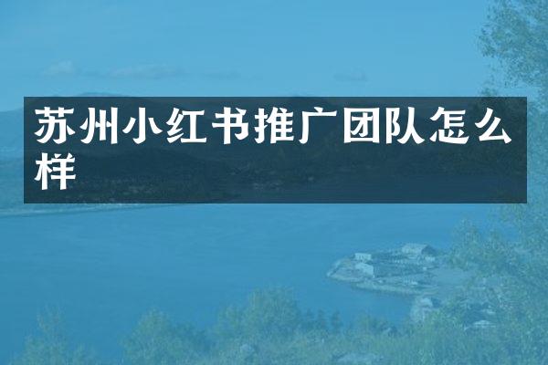 苏州小红书推广团队怎么样
