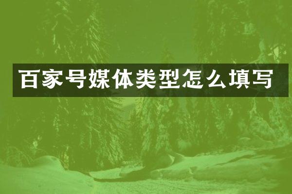 百家号媒体类型怎么填写