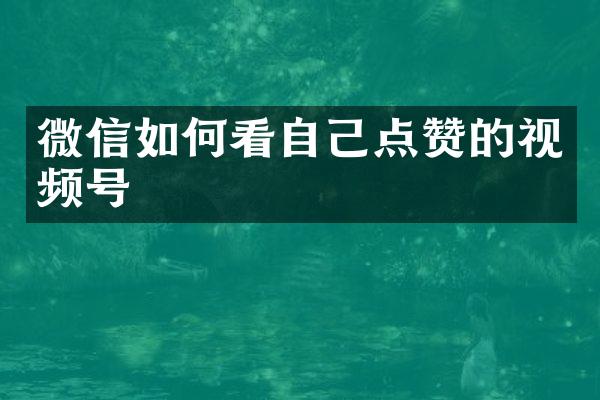 微信如何看自己点赞的视频号