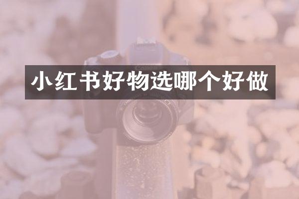 小红书好物选哪个好做