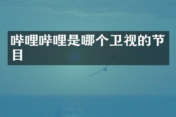 哔哩哔哩是哪个卫视的节目