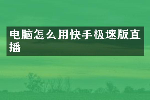 电脑怎么用快手极速版直播