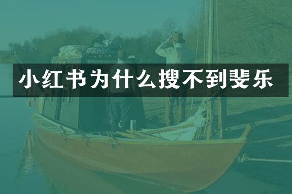 小红书为什么搜不到斐乐