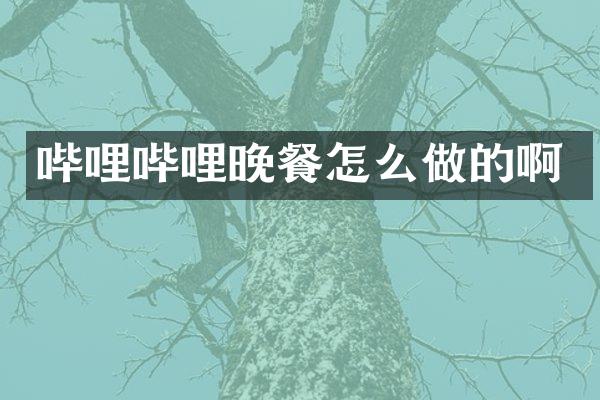 哔哩哔哩晚餐怎么做的啊