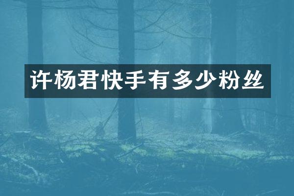 许杨君快手有多少粉丝