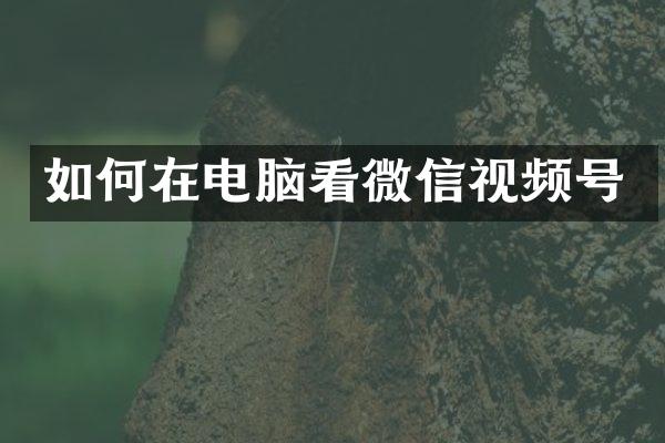 如何在电脑看微信视频号