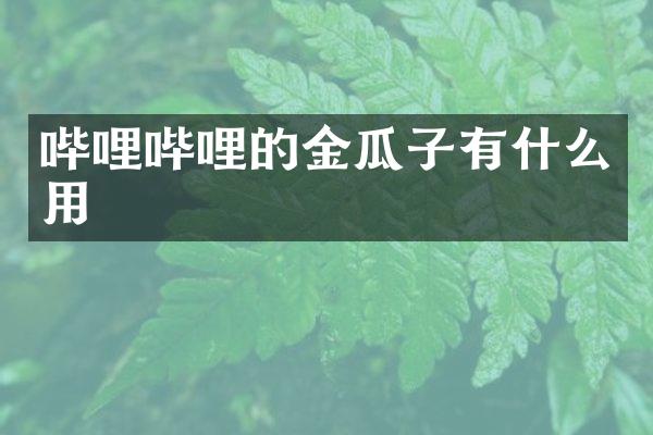 哔哩哔哩的金瓜子有什么用