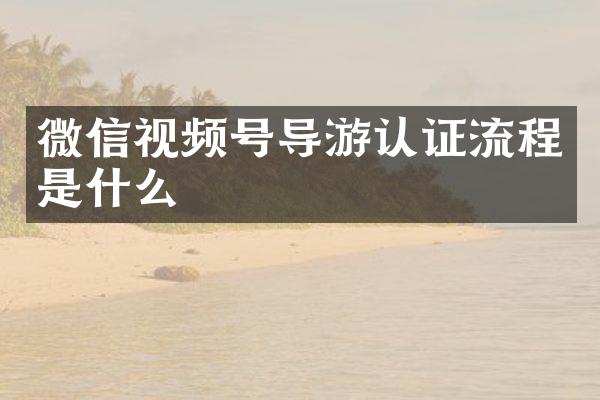 微信视频号导游认证流程是什么