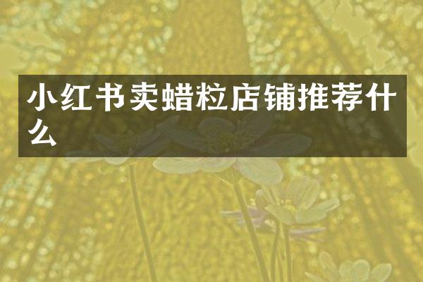 小红书卖蜡粒店铺推荐什么