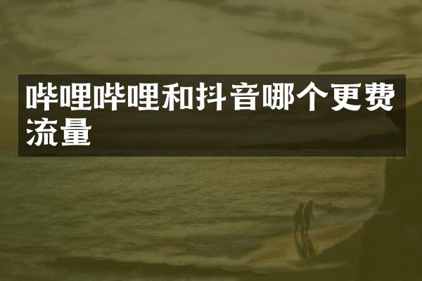 哔哩哔哩和抖音哪个更费流量