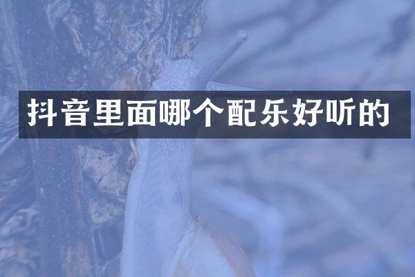 抖音里面哪个配乐好听的