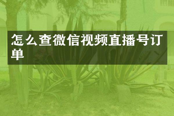 怎么查微信视频直播号订单