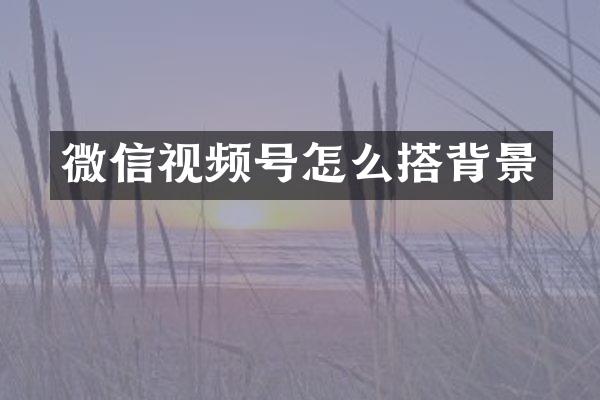 微信视频号怎么搭背景