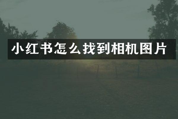 小红书怎么找到相机图片