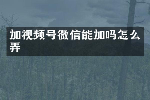 加视频号微信能加吗怎么弄
