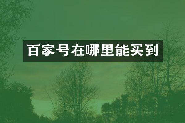 百家号在