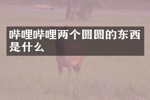 哔哩哔哩两个圆圆的东西是什么