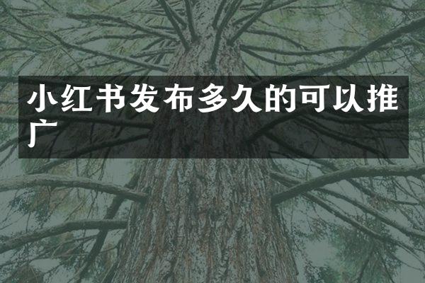 小红书发布多久的可以推广