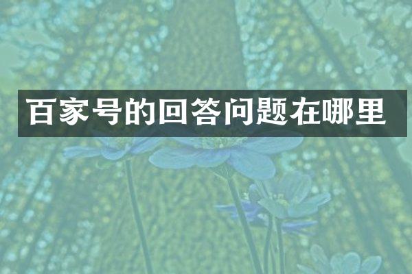 百家号的回答问题在哪里
