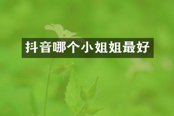 抖音哪个姐最好