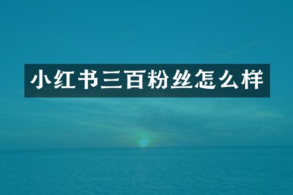 小红书三百粉丝怎么样
