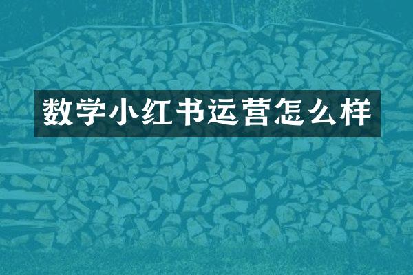 数学小红书运营怎么样