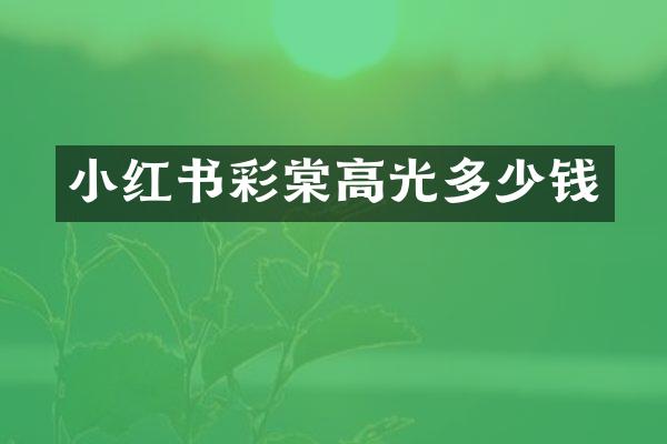 小红书彩棠高光多少钱
