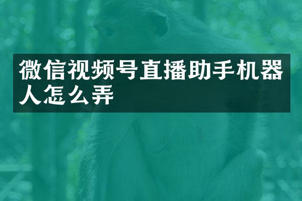 微信视频号直播助手机器人怎么弄