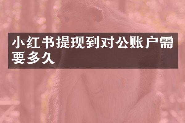 小红书提现到对公账户需要多久