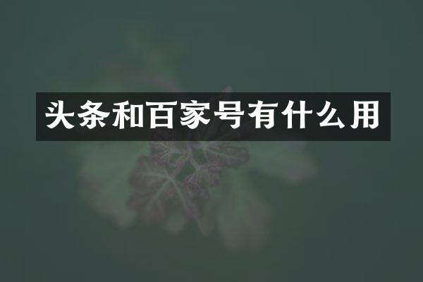 头条和百家号有什么用