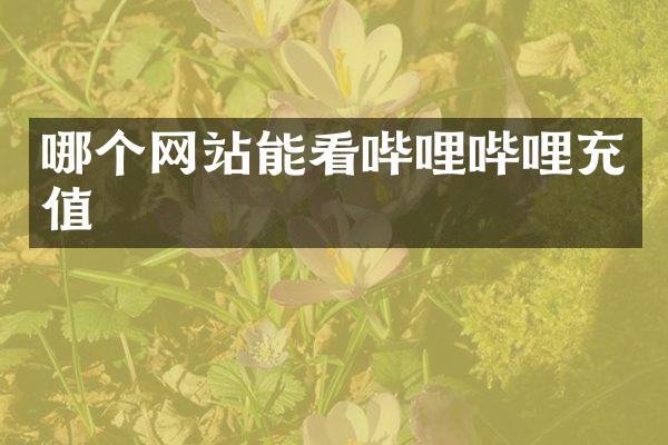 哪个网站能看哔哩哔哩充值