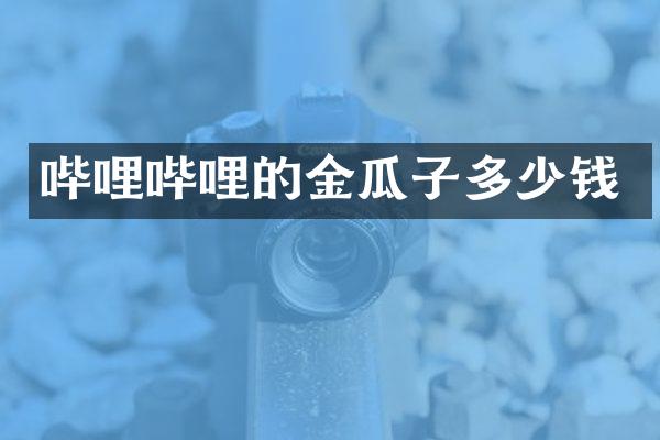 哔哩哔哩的金瓜子多少钱