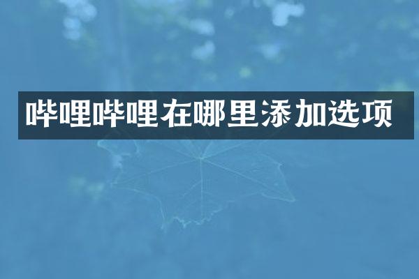 哔哩哔哩在哪里添加选项