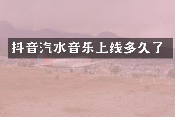 抖音汽水音乐上线多久了