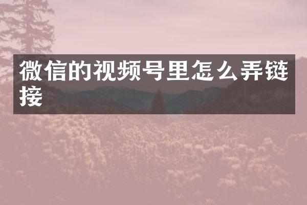 微信的视频号里怎么弄链接