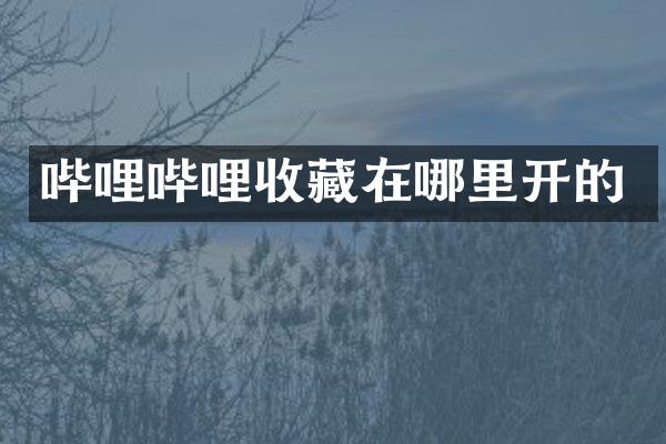 哔哩哔哩收藏在哪里开的