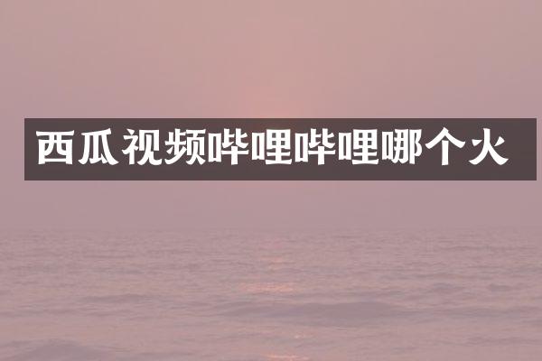 西瓜视频哔哩哔哩哪个火
