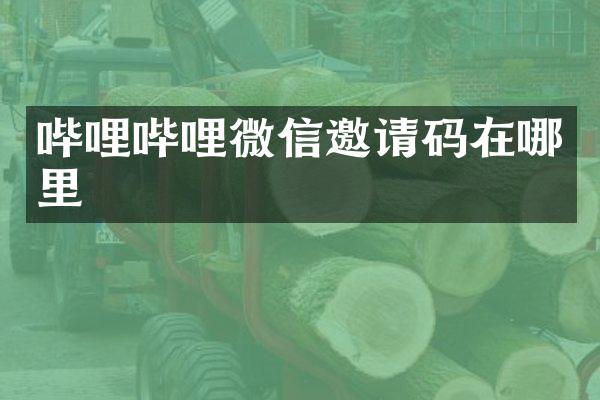 哔哩哔哩微信邀请码在哪里