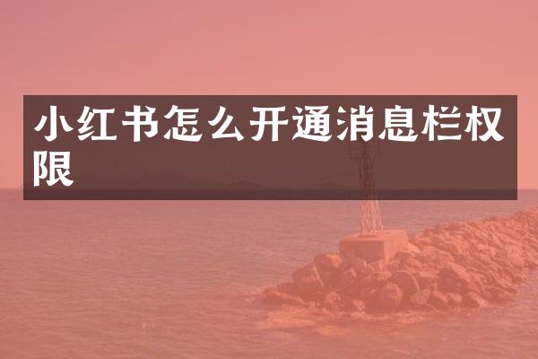 小红书怎么开通消息栏权限