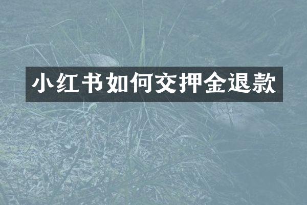 小红书如何交押金退款