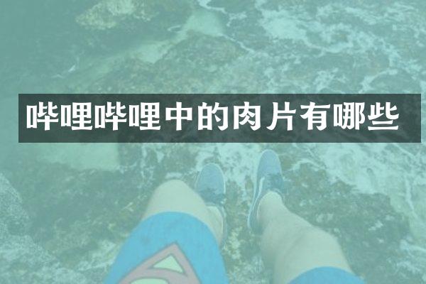 哔哩哔哩中的肉片有哪些