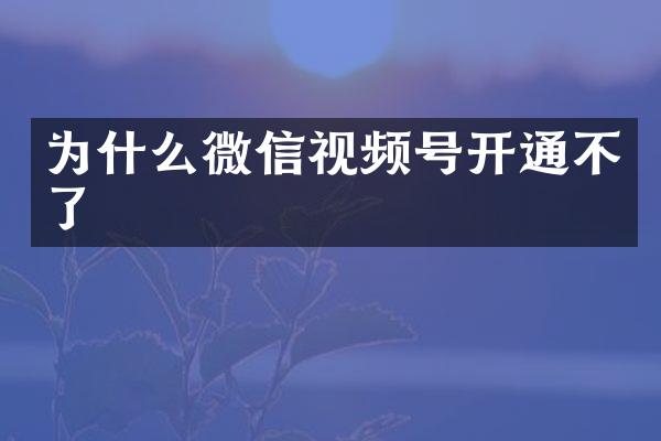 为什么微信视频号开通不了