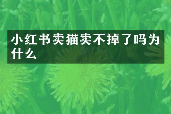 小红书卖猫卖不掉了吗为什么