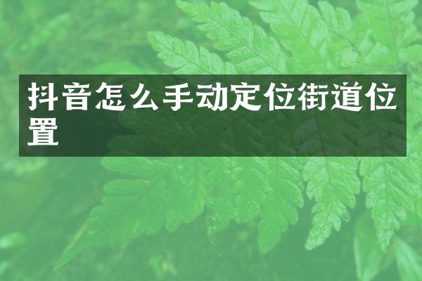 抖音怎么手动定位街道位置