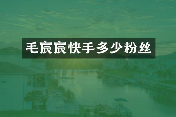 毛宸宸快手多少粉丝