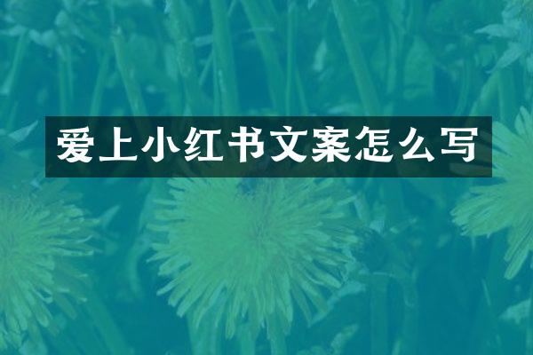 爱上小红书文案怎么写